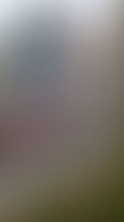 MS/GS Projet Germination