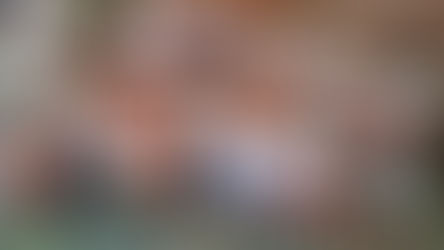 PS : Le voyage de Souricette : un carnet primé qui continue de voyager !"