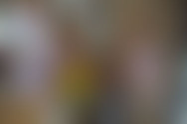 CE1 Fête du livre !