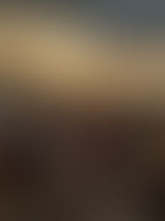 CE2 : Voyage à la grotte de Lascaux