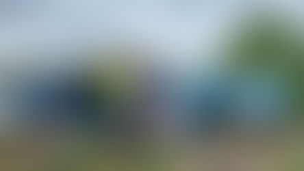 UNSS : Championnat académique de raid multisports