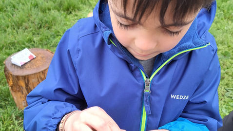 MS/GS : Atelier « à la recherche du vivant »