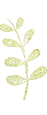 IMG_2657_edited.png