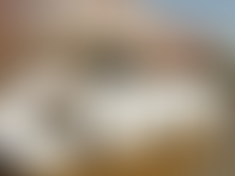 COP30: Lo que las Empresas Deben Saber para Aprovechar sus Resultados