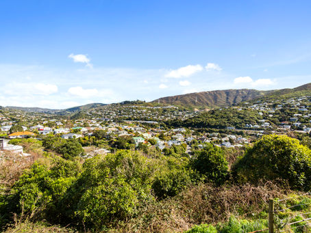 Wellington home with views - Leonie and Steve Harcourts real estateWellington home with views - Leonie and Steve Harcourts real estate