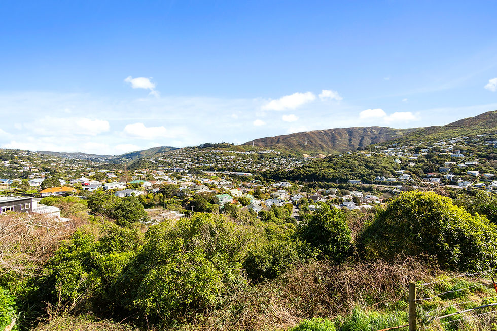 Wellington home with views - Leonie and Steve Harcourts real estateWellington home with views - Leonie and Steve Harcourts real estate
