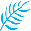 Fern.png