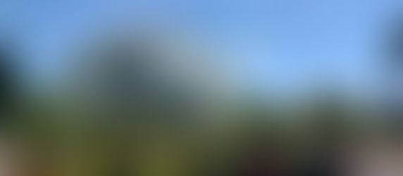 Gewächshauskuppel botanischer Garten Düsseldorf