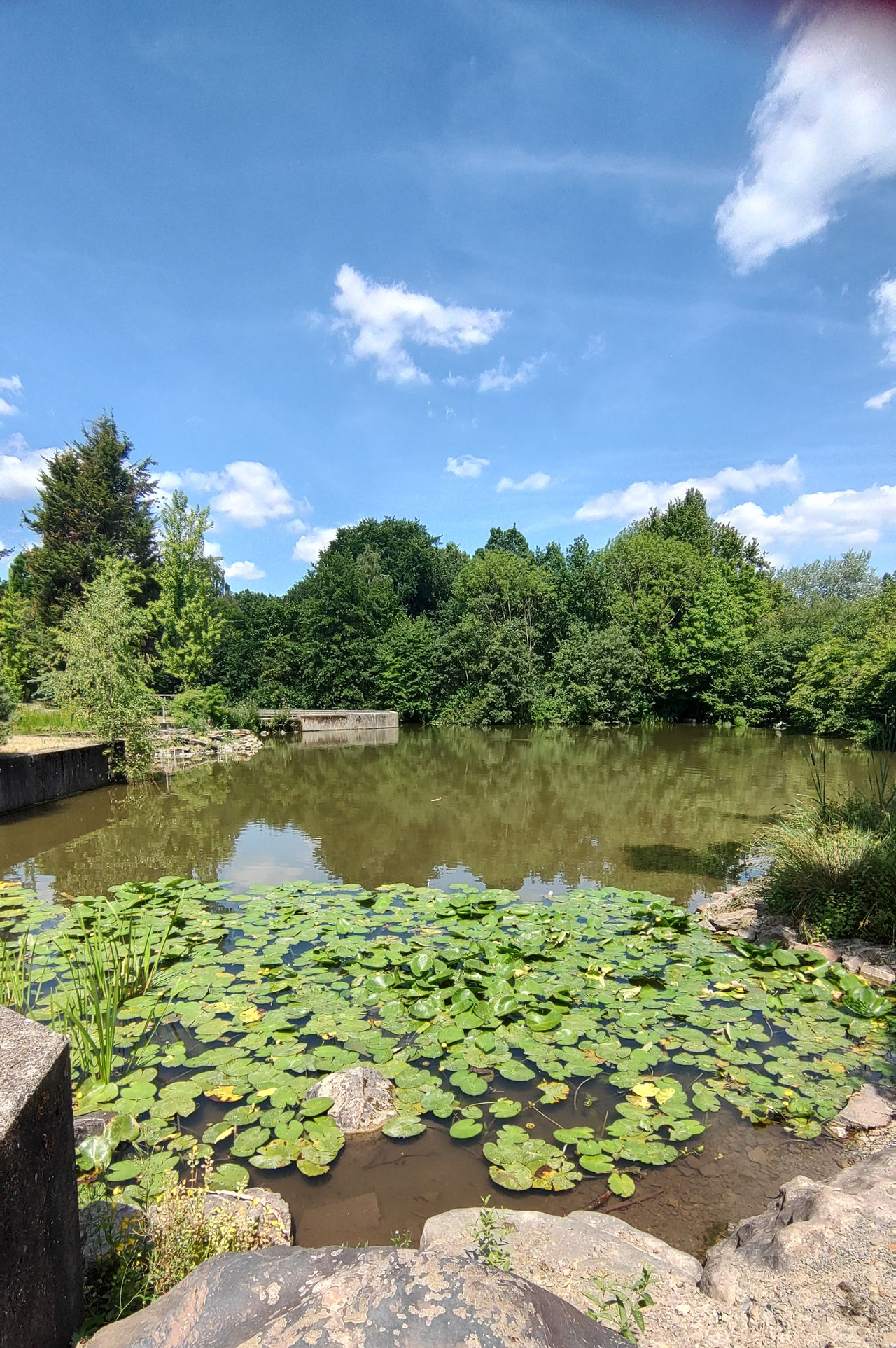 großer Teich