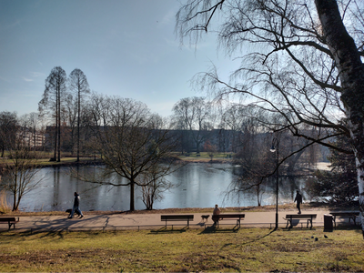 Blick auf den Teich