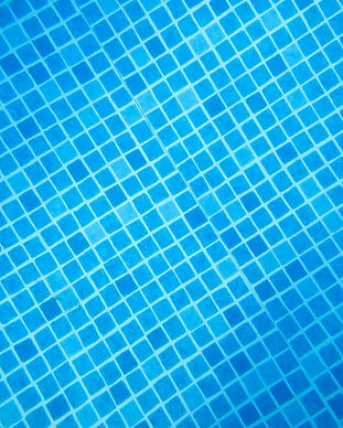 Tallahassee FL Swimming Pool Tile Installation