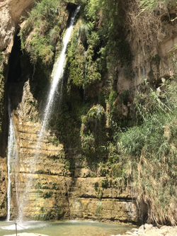 13663FFA-C4D8-48F1-A45E-32EDE143741C