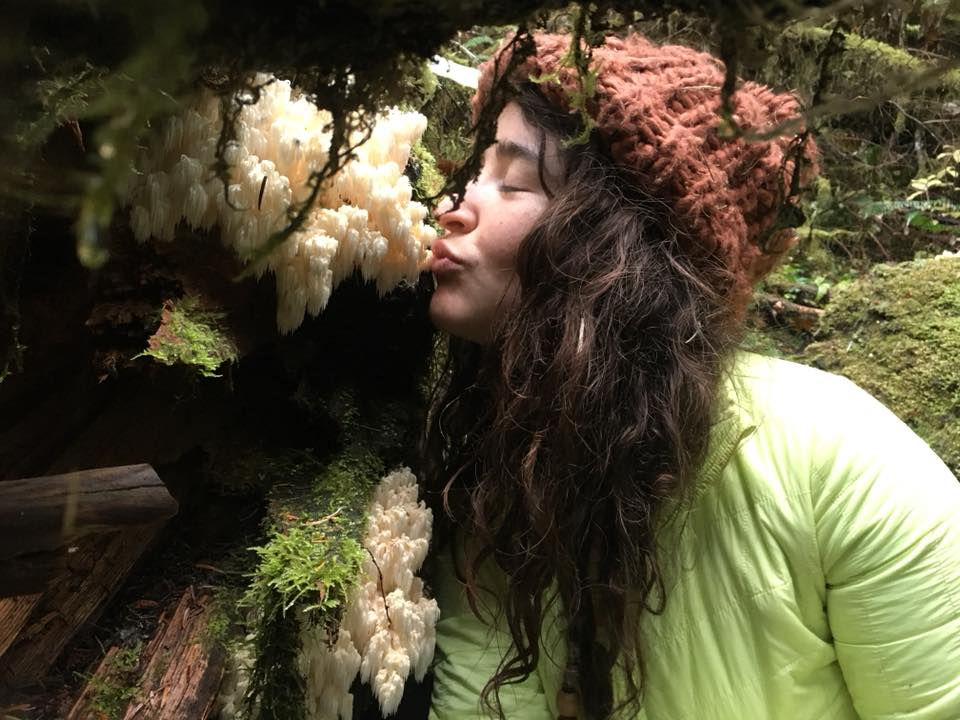 Thumbnail: Lion's Mane Tincture