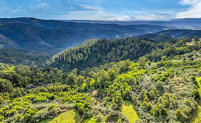 Drone Photo, Gippsland