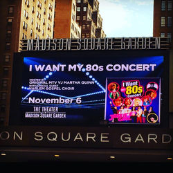 MSG BANNER