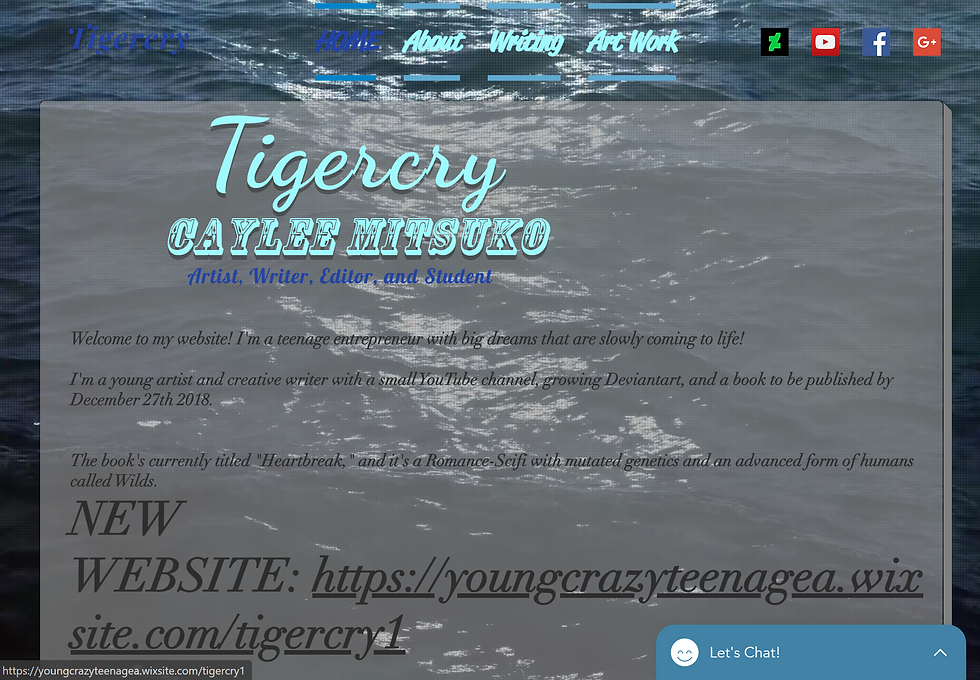 2016 Website