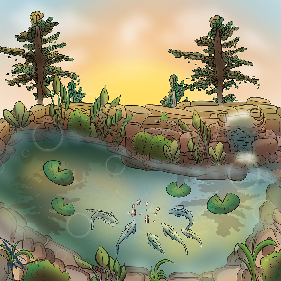 Koi Pond