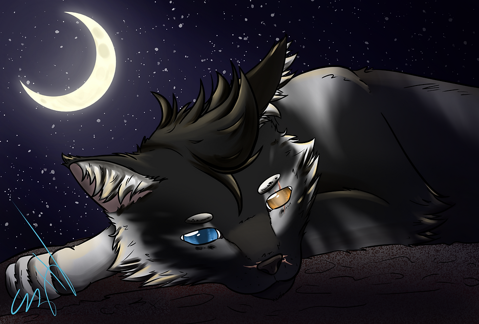 Feline Request