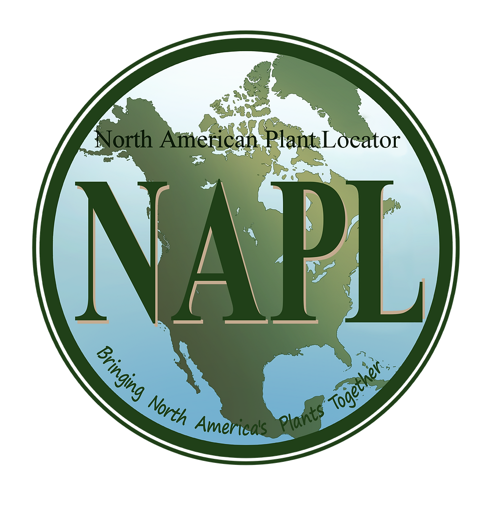 NAPL Logo