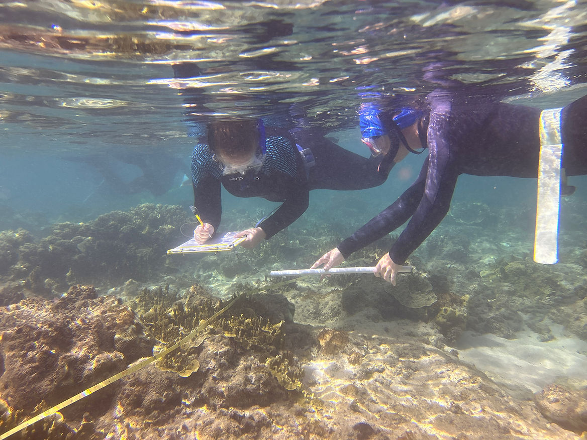 SportDiver_20240601_103002.JPG