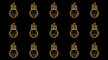 49084.PNG
