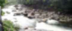 P3250010.jpeg