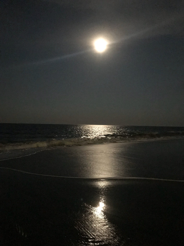 IMG_7490.jpeg
