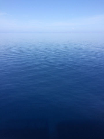 IMG_1723.jpeg