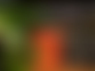 What Makes A Good Witchcraft Book