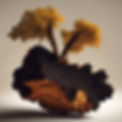 chaga.jpg