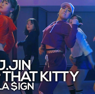 [JayJin] Drop That Kitty - Ty Dolla $ign (동영상)