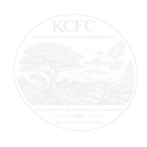 KCFC_watermark_word_edited.png