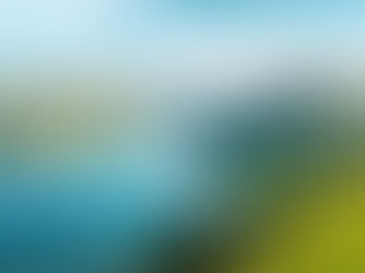 A Family Office Mindset