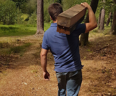 log carrying_edited.jpg