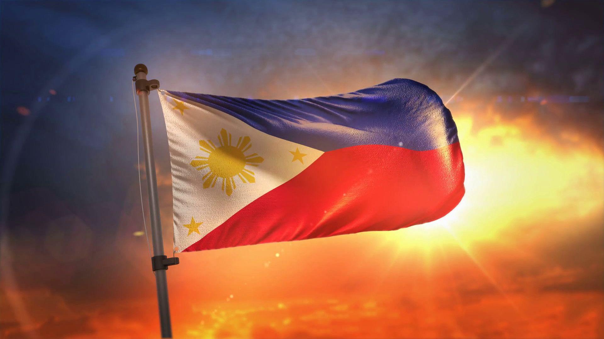 Writer: F. Palafox