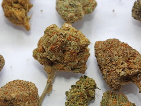 PGR Weed vs Natural Cannabis: How to Tell If Your Bud Is Bogus