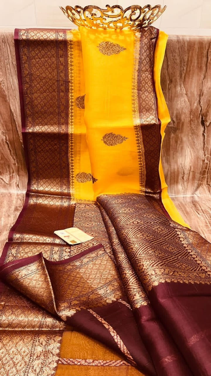 Banarasi Organza Saree, Ready to Wear With Zari Motifs, Border, Brocade Blouse