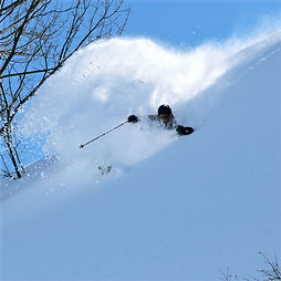 Dave Perfect pic 2023.JPG