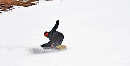 Dave Perfect pic 2023.JPG