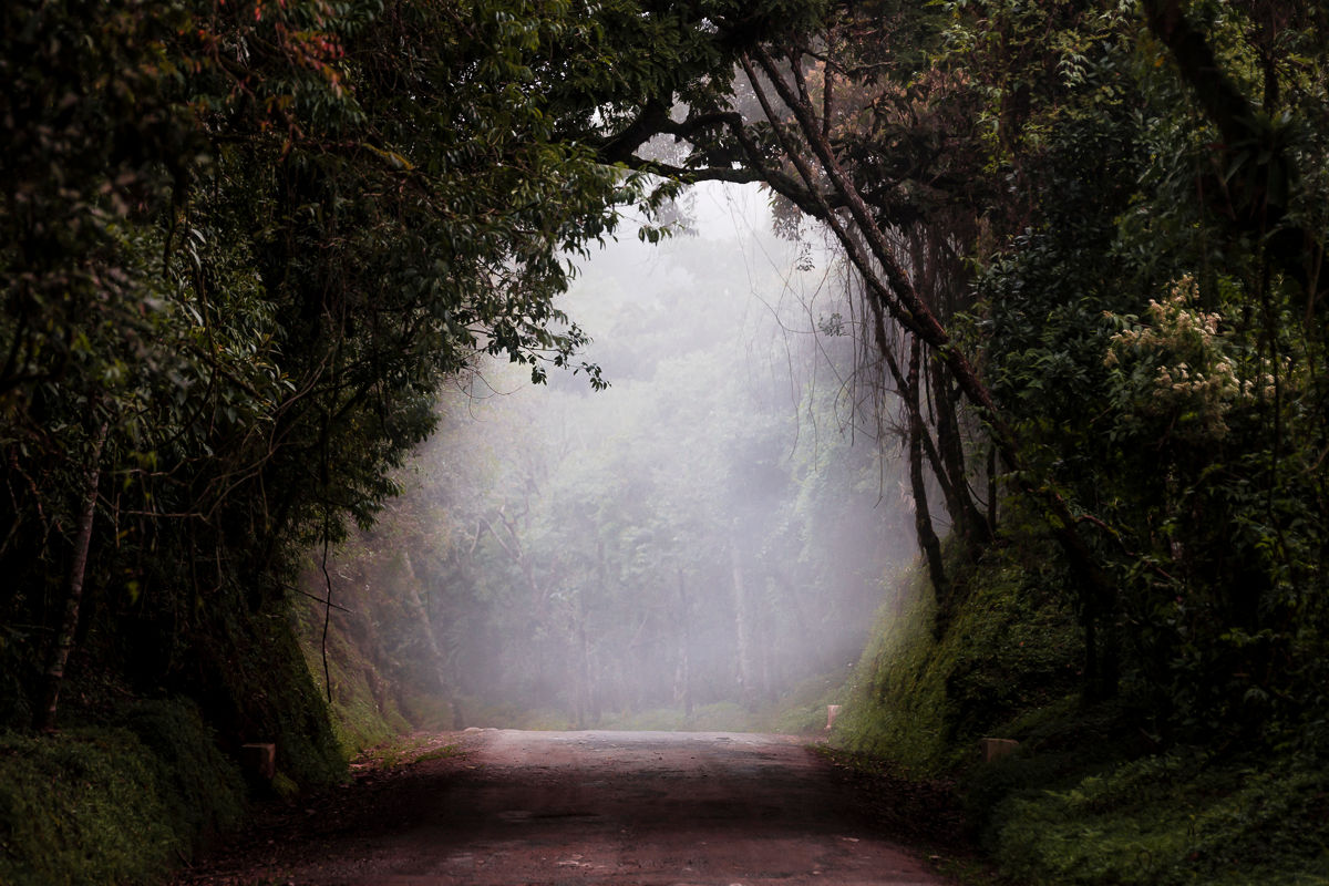 Variações sobre o Esquecimento I