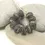 Thumbnail: Black Ivory etched spacer