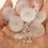 Thumbnail: Clear caps beads
