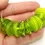 Thumbnail: Green cap beads, Glossy and Etched cone