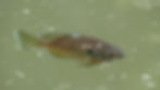DSC01729.JPG