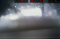 THS Fitness Storm Sewer Blockage Pic1.png