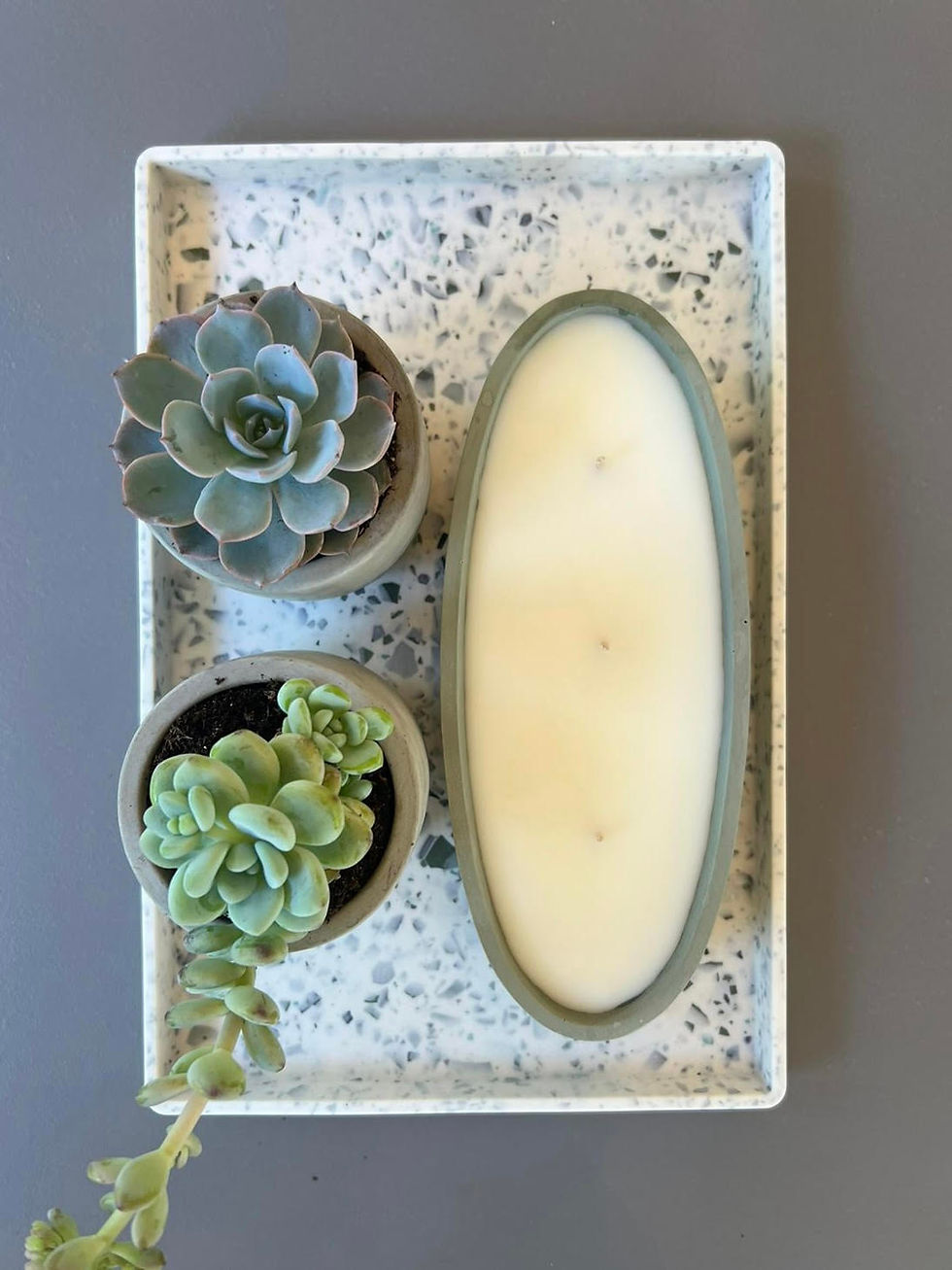 תמונה ממוזערת: מגש מלבן | טראצו