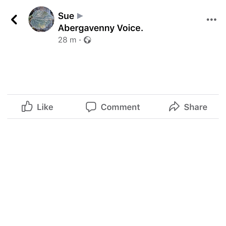 Facebook Play