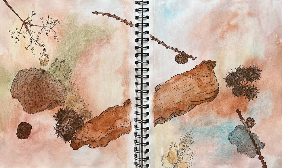 Nature Study