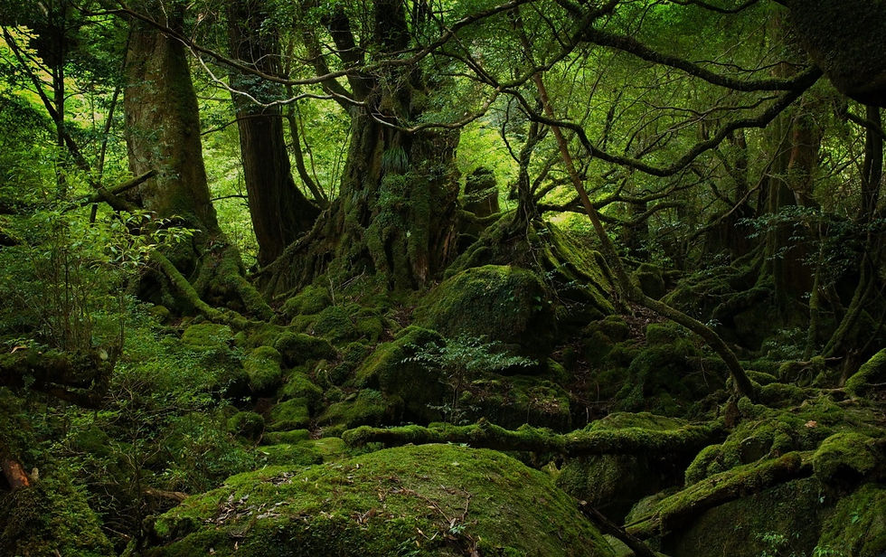 ree