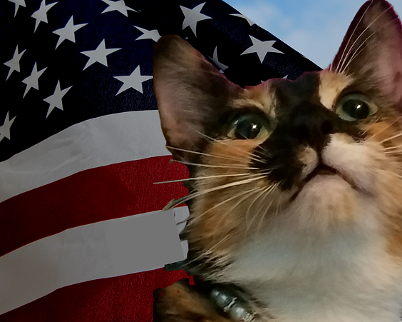 Untitled design (9).png